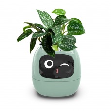 Умный цветочный горшок. AMPULLA Ivy